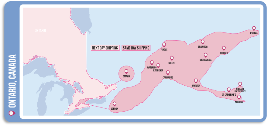 A map highlighting Ontario, Canada. Simplify Supply Chain Solutions offers same-day shipping across Waterloo, Kitchener, Cambridge, Guelph, Fergus, Toronto, Mississauga, Niagara, Niagara on the Lake, St. Catherine’s, Beamsville, and Ottawa.